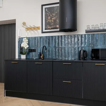 Elegant With A Work Space Close To The Center By Renters * Катовице